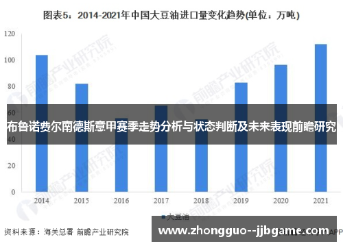 布鲁诺费尔南德斯意甲赛季走势分析与状态判断及未来表现前瞻研究 布鲁诺费尔南德斯意甲赛季走势分析与状态判断及未来表现前瞻研究